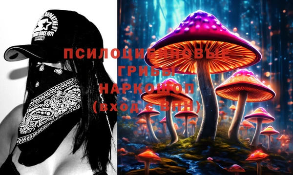 бошки Баксан